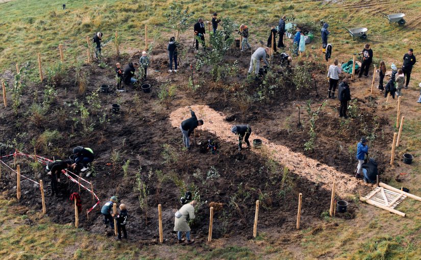 Erster Tiny Forest in Bielefeld