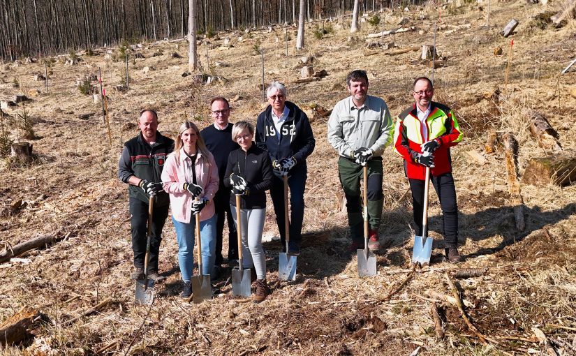 Jens Tegtmeier (Revierförster), Sarah Riedel (Projektteam Wortmann), Jens Beining (CEO Wortmann Gruppe), Olga Wedel (Projektteam Wortmann), Andreas Burmeister (Projektteam Wortmann), Christopher Kroos (kommissarischer stellvertretender Leiter Forstabteilung), Jörg Düning-Gast (Verbandsvorsteher Landesverband Lippe) (Foto: Landesverband Lippe)